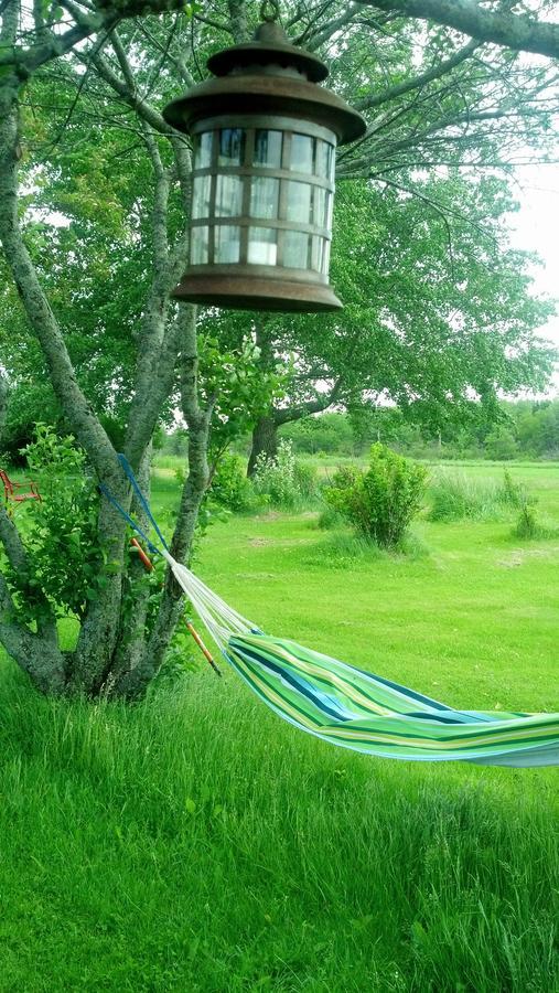 Miscouche Lovely Green Gable Home מראה חיצוני תמונה